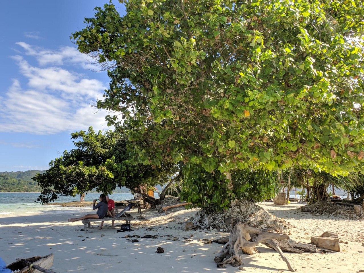 Shaded beachfront
